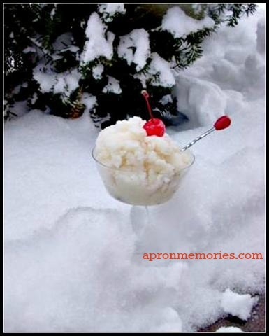 Snow Ice Cream with bush www